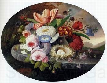 unknow artist Floral, beautiful classical still life of flowers 011 Germany oil painting art